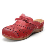 Emily - Everyday Comfort Clogs